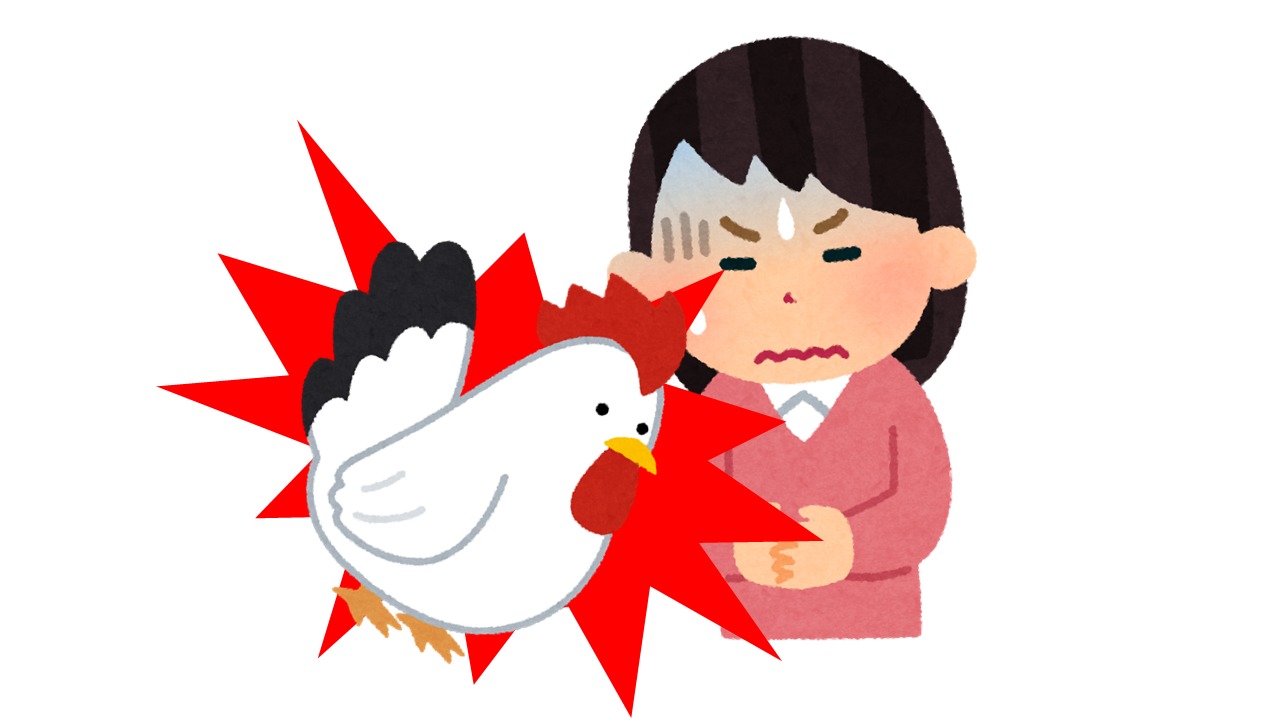 鶏肉で食中毒になった体験談と対処法 よりみち生活 鶏肉で食中毒になった体験談と対処法 よりみち生活