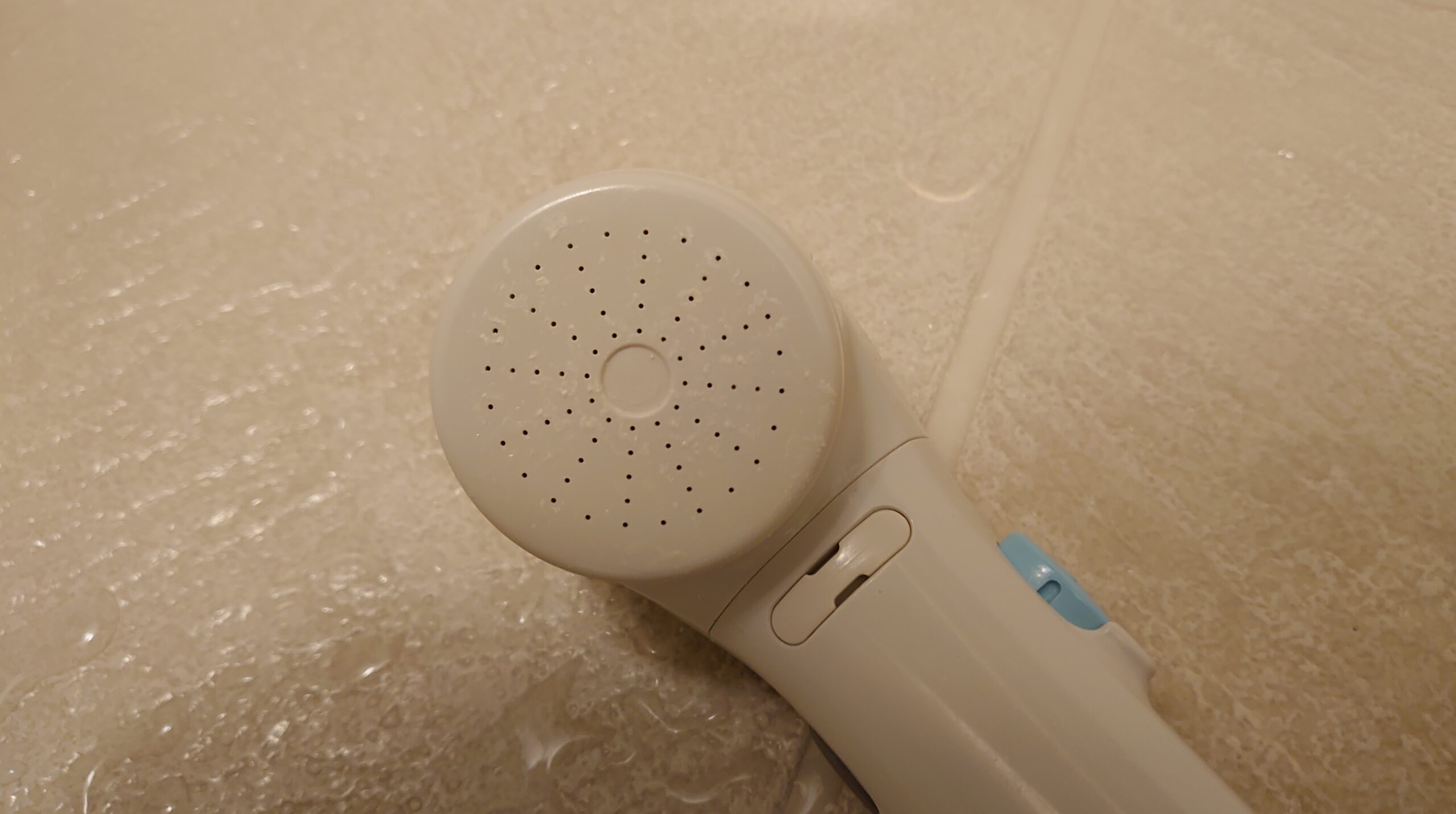 水垢だらけのシャワーヘッドをクエン酸で掃除してみた よりみち生活 水垢だらけのシャワーヘッドをクエン酸で掃除してみた よりみち生活