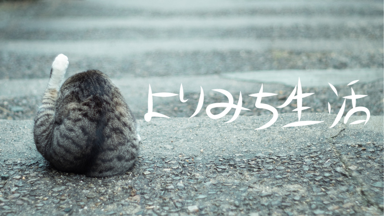 よりみち生活とは よりみち生活